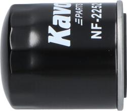 AMC Filter NF-2252 - Degvielas filtrs ps1.lv