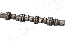 Ashika 16DW001 - Sadales vārpsta ps1.lv