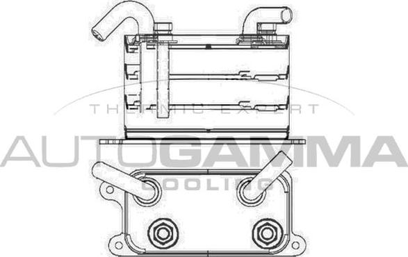 Autogamma 105228 - Eļļas radiators, Motoreļļa ps1.lv