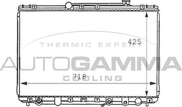 Autogamma 100992 - Radiators, Motora dzesēšanas sistēma ps1.lv