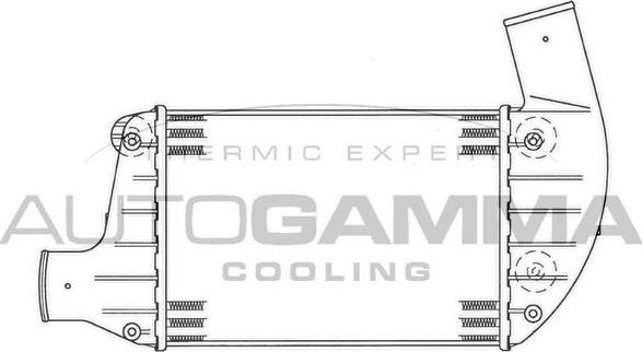 Autogamma 101853 - Starpdzesētājs ps1.lv