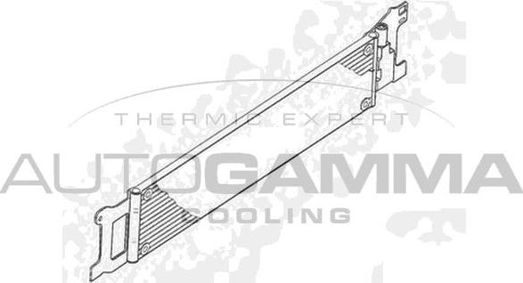 Autogamma 103947 - Eļļas radiators, Motoreļļa ps1.lv