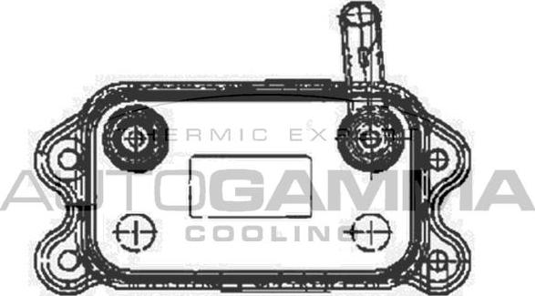 Autogamma 102522 - Eļļas radiators, Motoreļļa ps1.lv