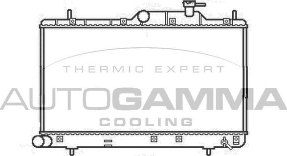 Autogamma 107249 - Radiators, Motora dzesēšanas sistēma ps1.lv