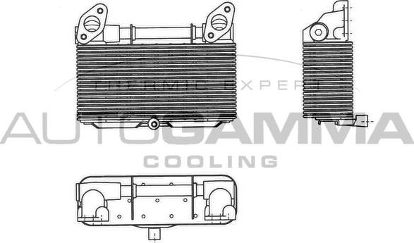 Autogamma 303712 - Eļļas radiators, Motoreļļa ps1.lv