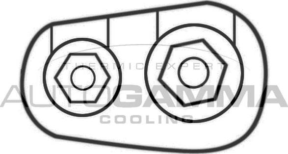 Autogamma GA200406 - Ventilators, Motora dzesēšanas sistēma ps1.lv