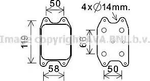 Ava Quality Cooling VW3394 - Eļļas radiators, Motoreļļa ps1.lv