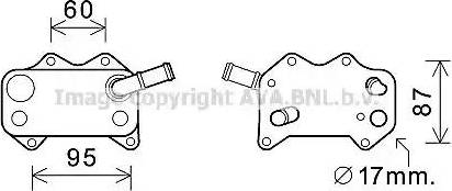 Ava Quality Cooling VW3329 - Eļļas radiators, Motoreļļa ps1.lv