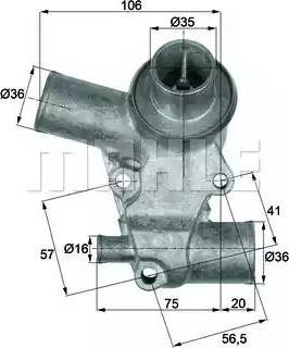 Behr TI 61 80D - Termostats, Dzesēšanas šķidrums ps1.lv