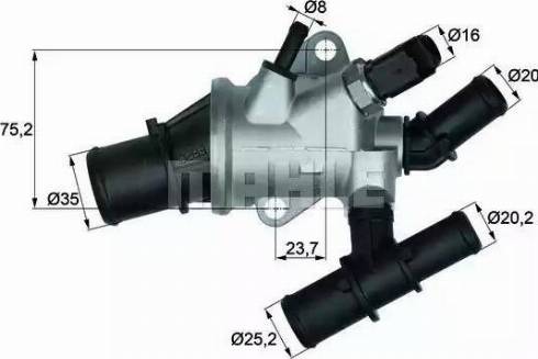 Behr TI 162 88 - Termostats, Dzesēšanas šķidrums ps1.lv