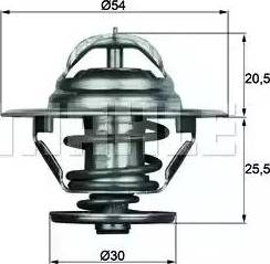 Behr TX 9 79 - Termostats, Dzesēšanas šķidrums ps1.lv