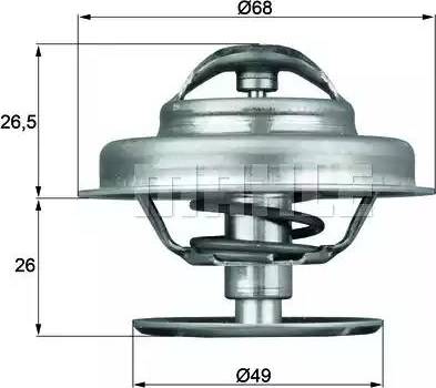 Behr TX 62 89 - Termostats, Dzesēšanas šķidrums ps1.lv