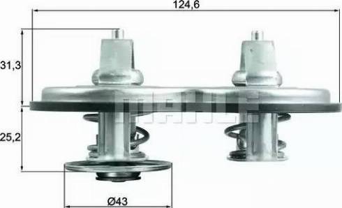 Behr TX 141 83 - Termostats, Dzesēšanas šķidrums ps1.lv