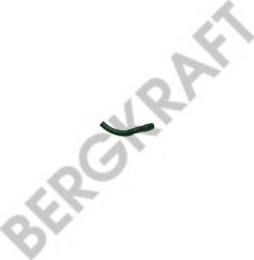 BergKraft BK29701021SP - Radiatora cauruļvads ps1.lv