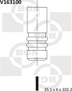 BGA V163100 - Ieplūdes vārsts ps1.lv