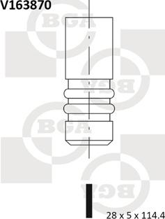 BGA V163870 - Ieplūdes vārsts ps1.lv