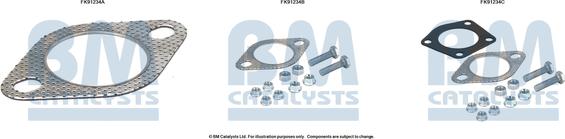 BM Catalysts FK91234 - Montāžas komplekts, Katalizators ps1.lv