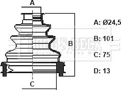 Borg & Beck BCB6425 - Putekļusargs, Piedziņas vārpsta ps1.lv