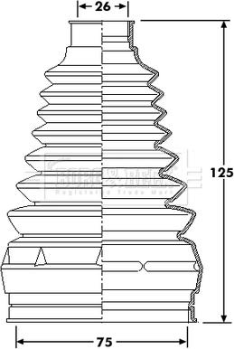 Borg & Beck BCB6217 - Putekļusargs, Piedziņas vārpsta ps1.lv