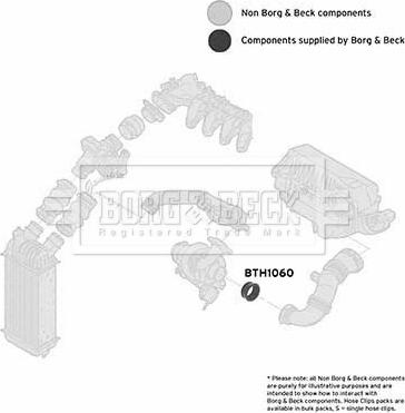 Borg & Beck BTH1060 - Gaisa tvērēja caurule, Gaisa filtrs ps1.lv