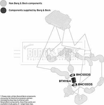 Borg & Beck BTH1164 - Pūtes sistēmas gaisa caurule ps1.lv