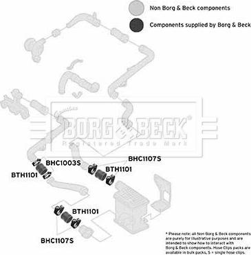 Borg & Beck BTH1101 - Pūtes sistēmas gaisa caurule ps1.lv