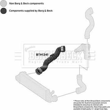 Borg & Beck BTH1341 - Pūtes sistēmas gaisa caurule ps1.lv