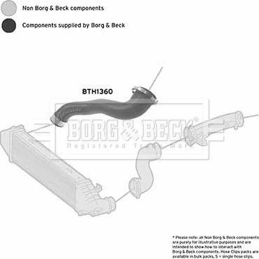 Borg & Beck BTH1360 - Pūtes sistēmas gaisa caurule ps1.lv