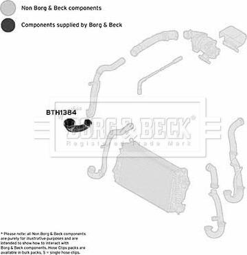 Borg & Beck BTH1384 - Pūtes sistēmas gaisa caurule ps1.lv