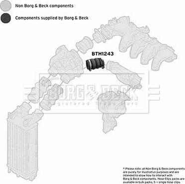 Borg & Beck BTH1243 - Pūtes sistēmas gaisa caurule ps1.lv