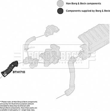 Borg & Beck BTH1710 - Pūtes sistēmas gaisa caurule ps1.lv