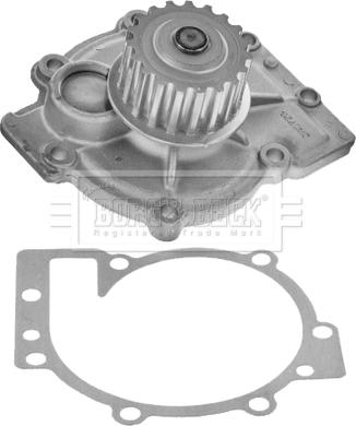 Borg & Beck BWP2064 - Ūdenssūknis ps1.lv