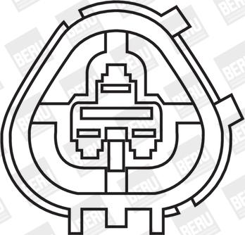 BorgWarner (BERU) ZS266 - Aizdedzes spole ps1.lv