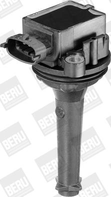 BorgWarner (BERU) ZSE019 - Aizdedzes spole ps1.lv