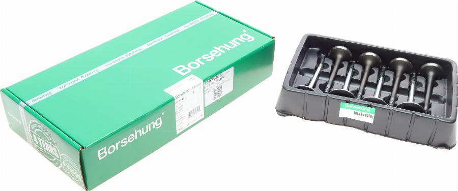 Borsehung B18148 - Vārsts ps1.lv