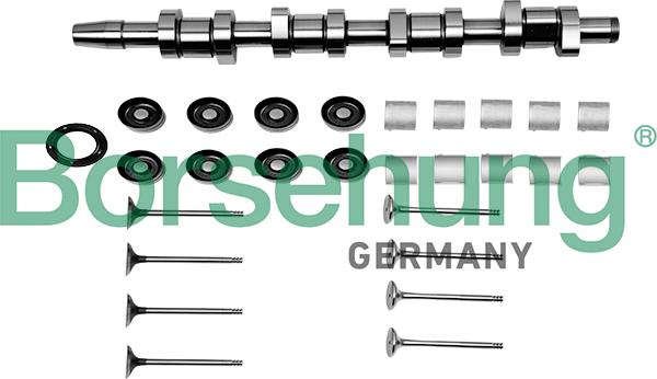 Borsehung B17129 - Remkomplekts, Starpvārpsta ps1.lv