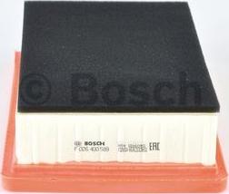 BOSCH F 026 400 589 - Gaisa filtrs ps1.lv