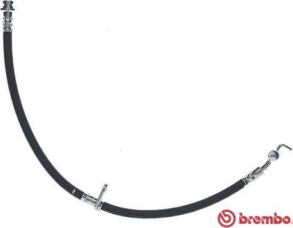 Brembo T 59 084 - Bremžu šļūtene ps1.lv