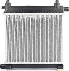 BSG BSG 60-520-017 - Radiators, Motora dzesēšanas sistēma ps1.lv