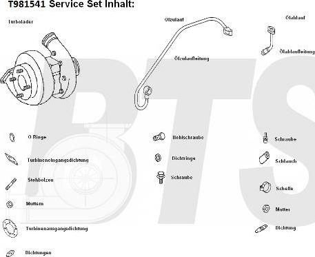 BTS Turbo T981541 - Kompresors, Turbopūte ps1.lv