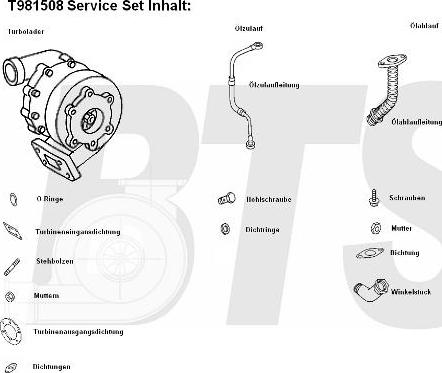 BTS Turbo T981508 - Kompresors, Turbopūte ps1.lv