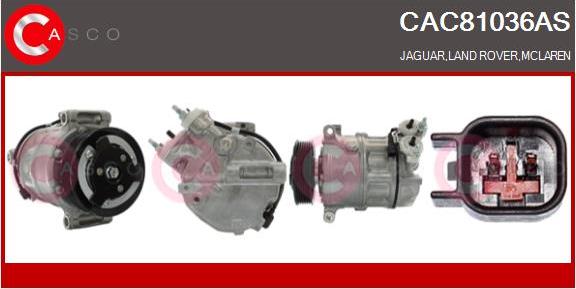 Casco CAC81036AS - Kompresors, Gaisa kond. sistēma ps1.lv