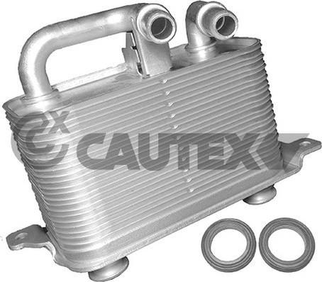 Cautex 751731 - Eļļas radiators, Motoreļļa ps1.lv