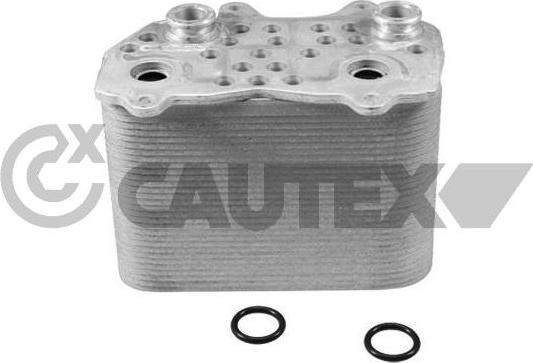 Cautex 771875 - Eļļas radiators, Motoreļļa ps1.lv