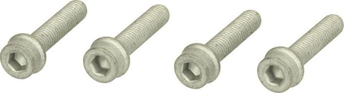 CONTINENTAL MS17 - Skrūvju komplekts, Piedziņas skriemelis-Kloķvārpsta ps1.lv