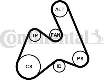 Contitech 5PK1592K1 - Ķīļrievu siksnu komplekts ps1.lv