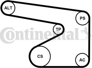 Contitech 5PK1355WP1 - Ūdenssūknis + ķīļrievu siksnas komplekts ps1.lv