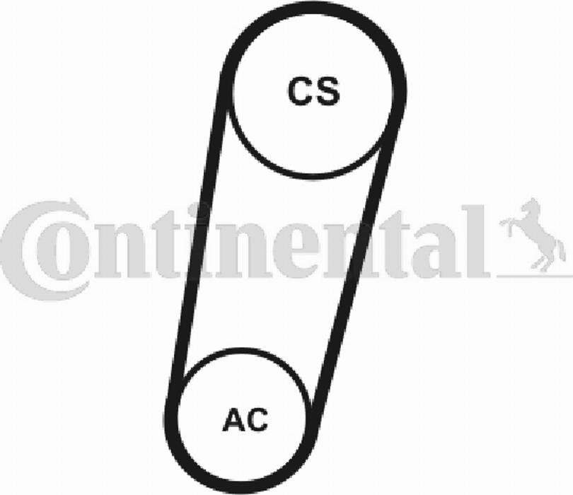 Contitech 5PK705T1 - Ķīļrievu siksna ps1.lv