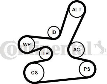 Contitech 6DPK1817K1 - Ķīļrievu siksnu komplekts ps1.lv