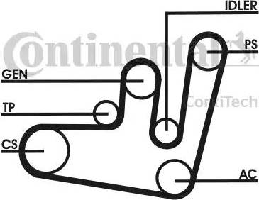 Continental 6PK1660D1 - Ķīļrievu siksnu komplekts ps1.lv